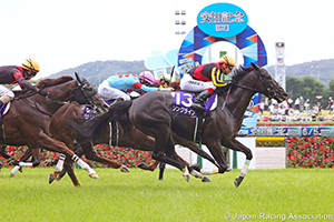 Yasuda Kinen (G1)