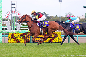 Satsuki Sho (Japanese 2000 Guineas) (G1)