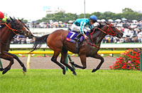 Yasuda Kinen (G1)