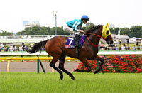 Yasuda Kinen (G1)